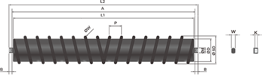 NN �����̾Ʈ