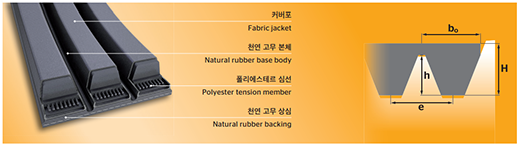 ���� ��Ʈ